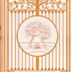 9788383356181 Bridgertonowie | Grzesznik nawrócony