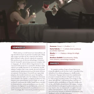 Chicago po zmroku Chicago po zmroku