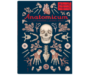 Anatomicum. Muzeum Anatomii