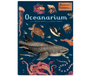 Oceanarium. Muzeum Oceanu