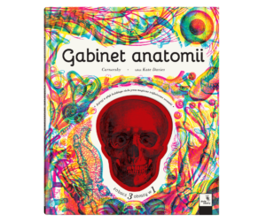 Gabinet anatomii