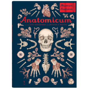 Anatomicum. Muzeum Anatomii