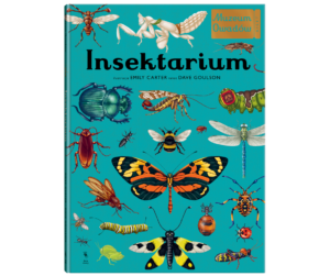 Insektarium. Muzeum Owadów