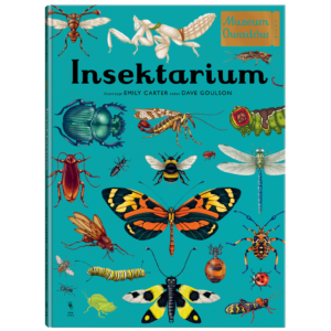 Insektarium. Muzeum Owadów
