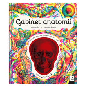 Gabinet anatomii
