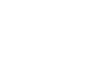 Copernicus Corporation