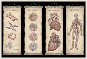 Anatomicum. Muzeum Anatomii – zdjęcie 4