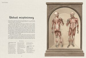 Anatomicum. Muzeum Anatomii – zdjęcie 3