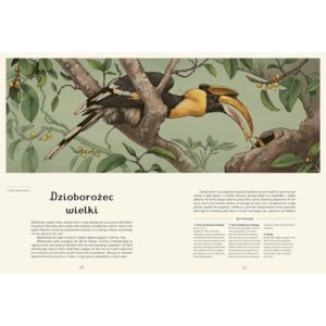 Awiarium. Muzeum Ptaków – zdjęcie 2