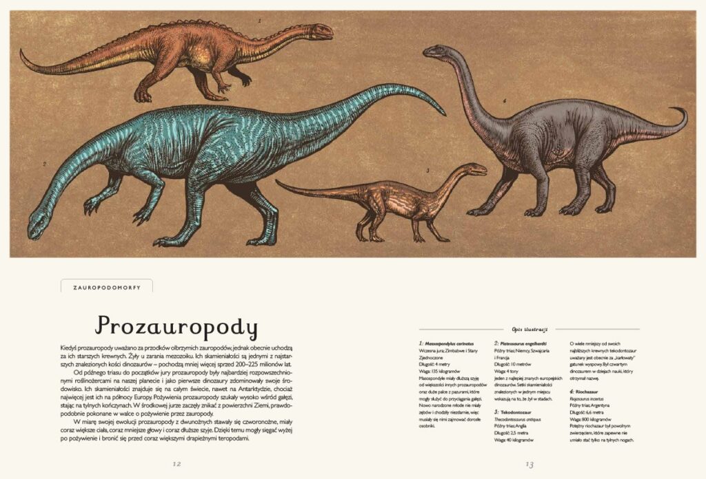 Dinozaurium. Muzeum Dinozaurów – zdjęcie 2