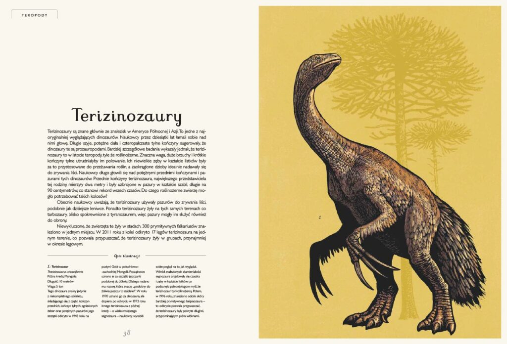 Dinozaurium. Muzeum Dinozaurów – zdjęcie 3