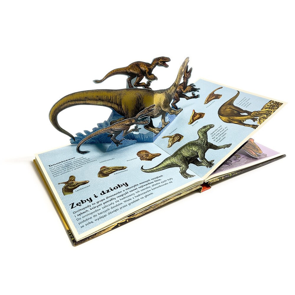 Dinozaurium pop-up. Muzeum dinozaurów – zdjęcie 2
