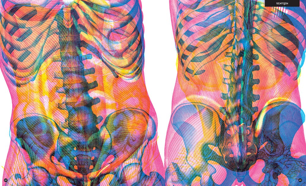 Gabinet anatomii – zdjęcie 3