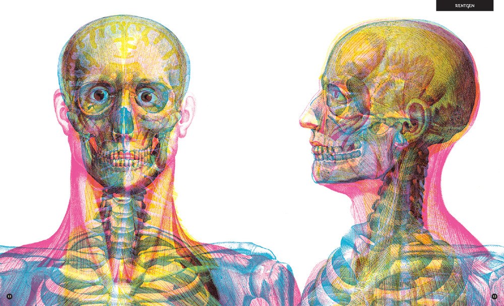 Gabinet anatomii – zdjęcie 2