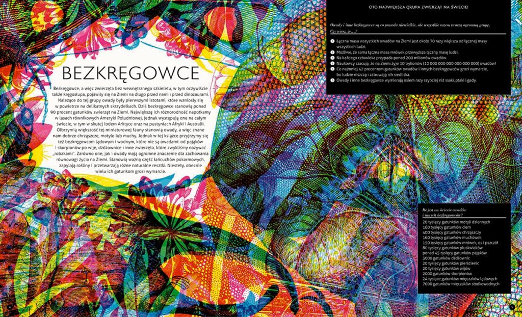Gabinet owadów (i innych małych stworzeń) – zdjęcie 2