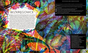 Gabinet owadów (i innych małych stworzeń) – zdjęcie 2