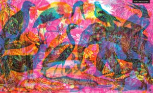 Gabinet zoologii – zdjęcie 3