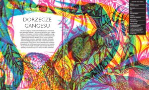 Gabinet zoologii – zdjęcie 4