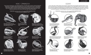 Gabinet zoologii – zdjęcie 2