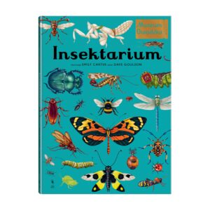 Insektarium. Muzeum Owadów – zdjęcie 1