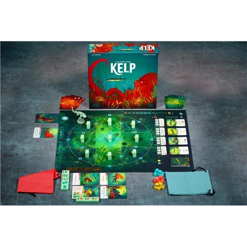 Kelp | Macki kontra szczęki – zdjęcie 2
