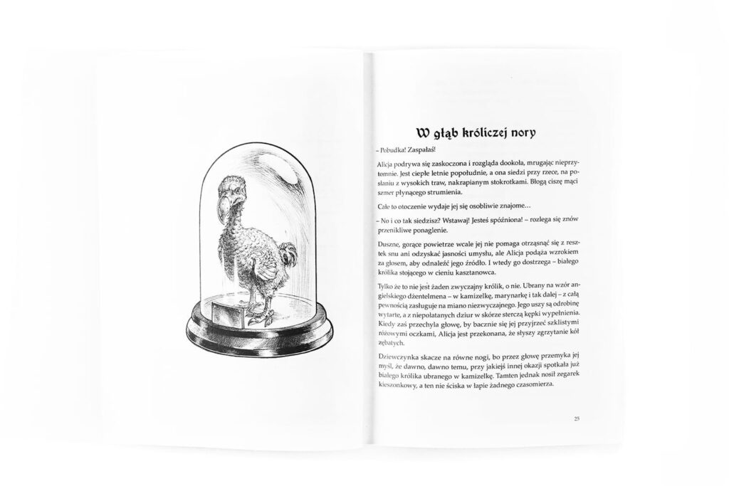 Koszmar Alicji w Krainie Czarów – Gra paragrafowa – zdjęcie 8