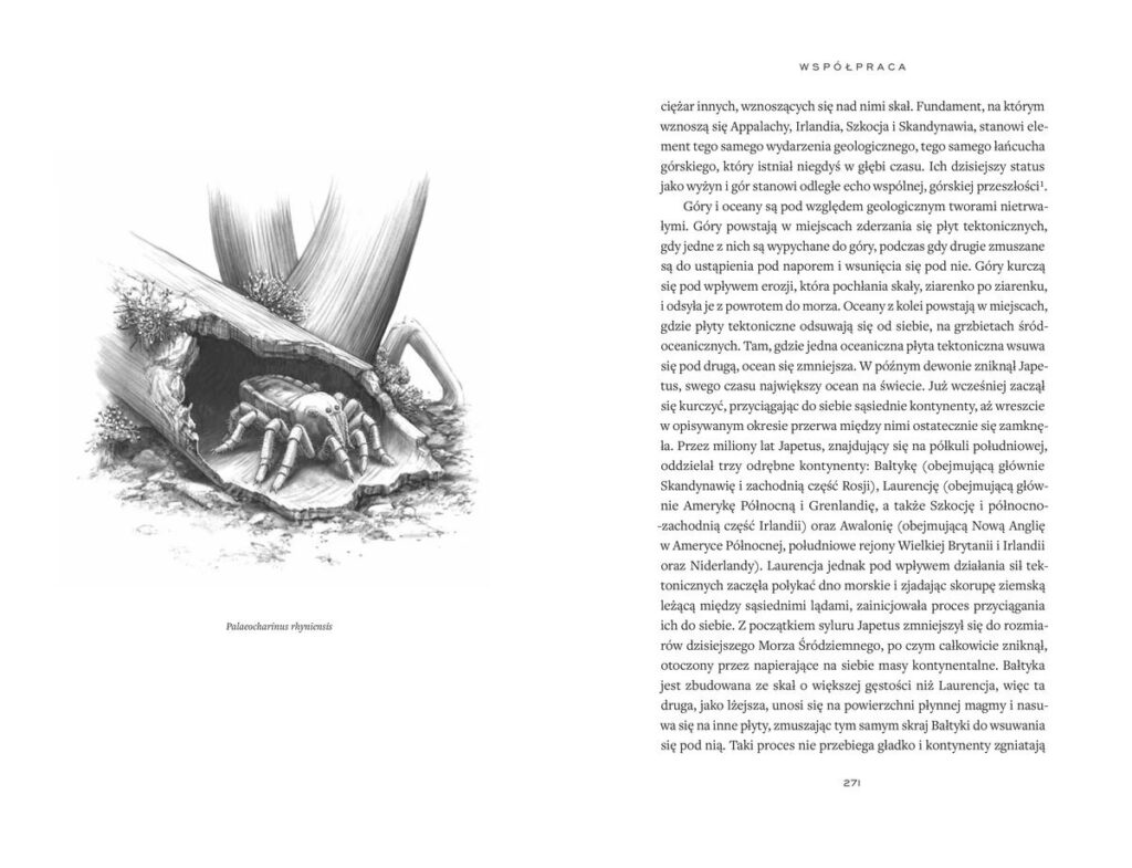 Minione światy – zdjęcie 5