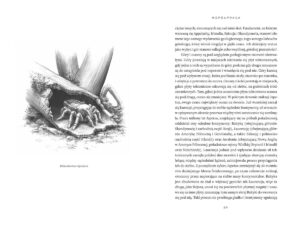 Minione światy – zdjęcie 5