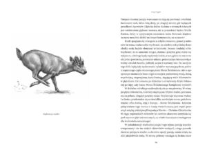 Minione światy – zdjęcie 7