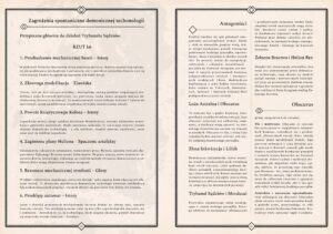 Mystery: Chór Anielski – zdjęcie 4