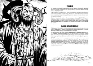 Szabrownik - twarda oprawa – zdjęcie 2