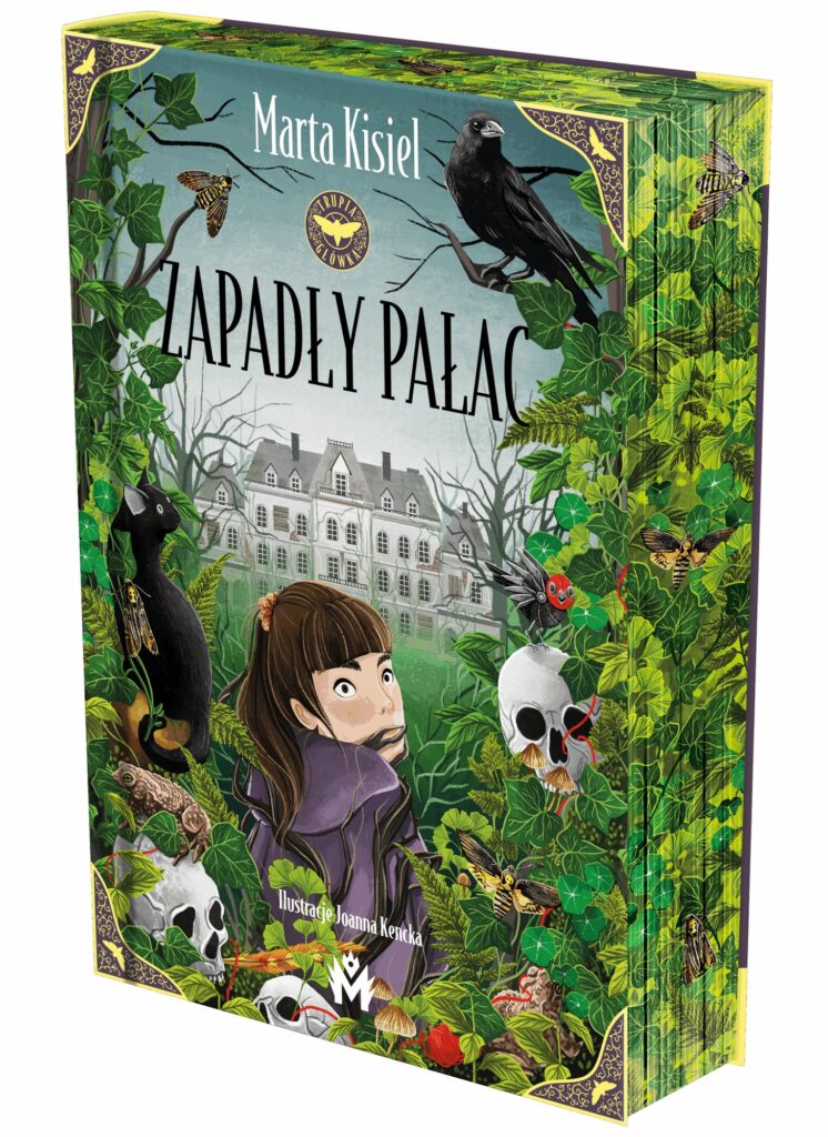Zapadły pałac – zdjęcie 2