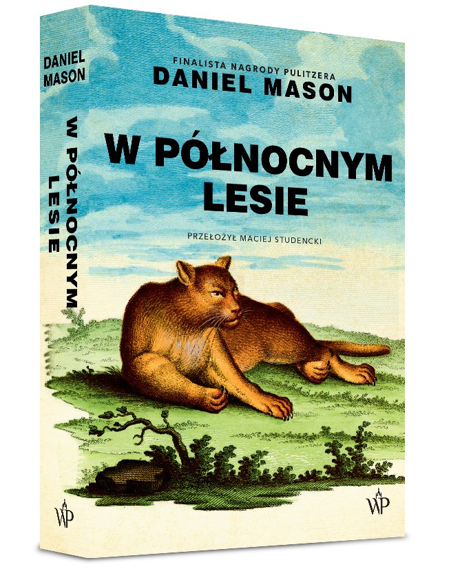 W północnym lesie – zdjęcie 2